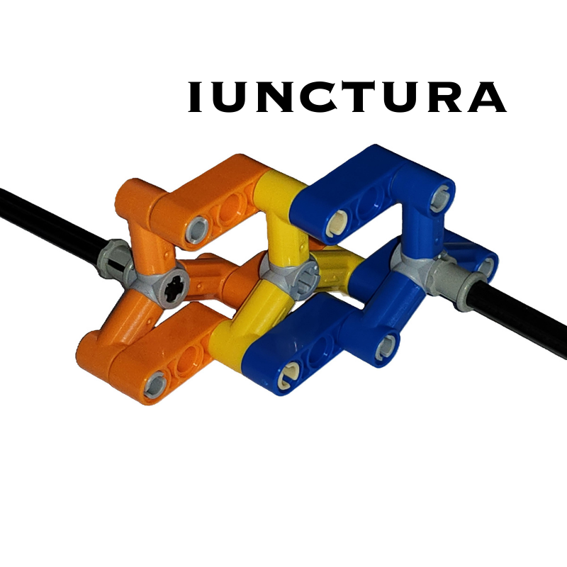iunctura business services ltd